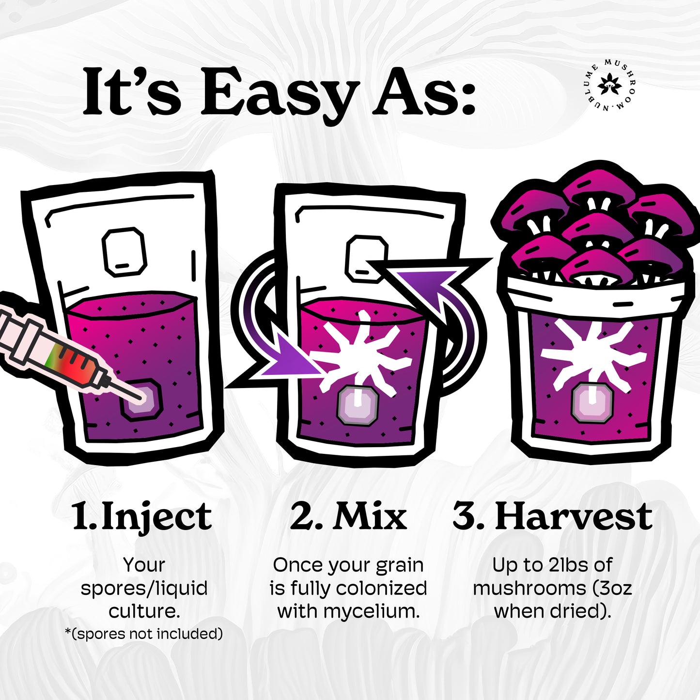 ShroomBloom all-natural mushroom grow kit with easy instructions and three growing pack options, by Nublume Mushroom.