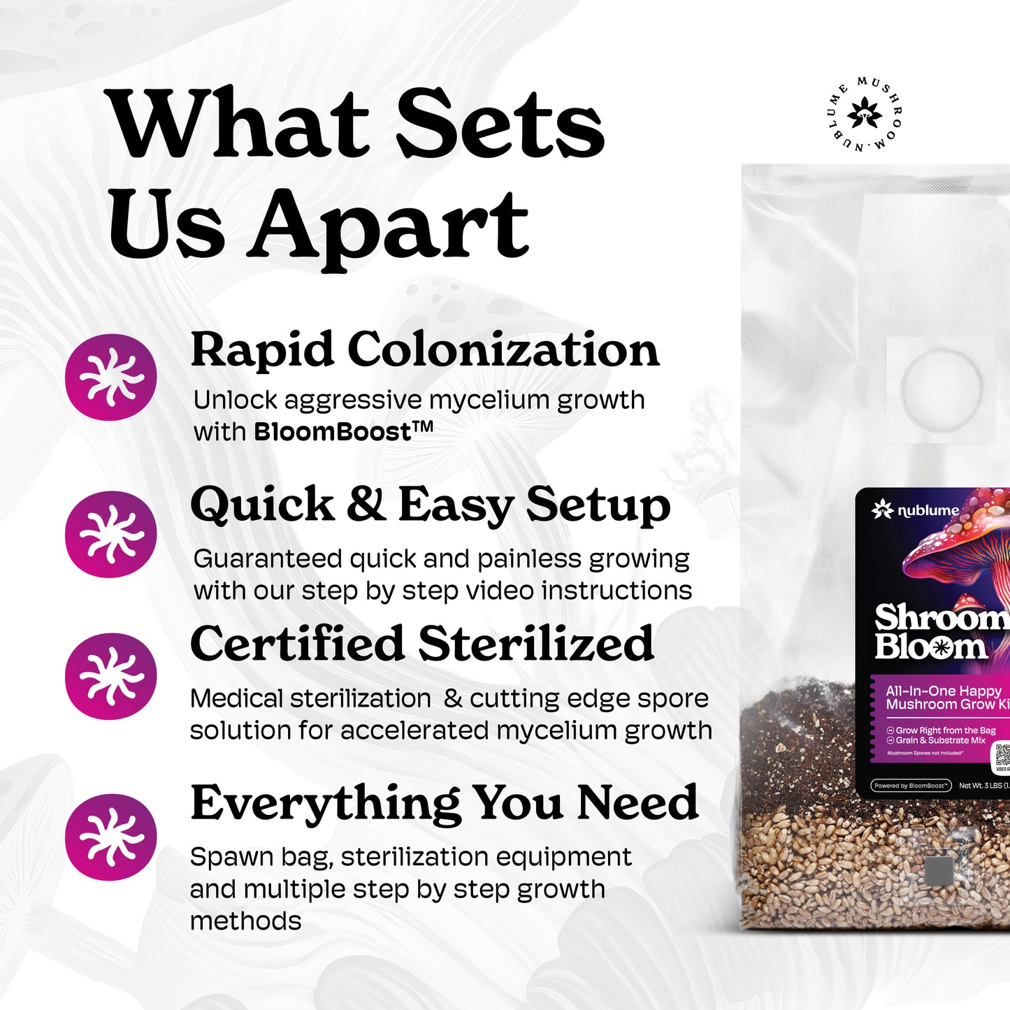 ShroomBloom all-natural mushroom grow kit with vibrant mushroom blocks and easy-to-follow instructions