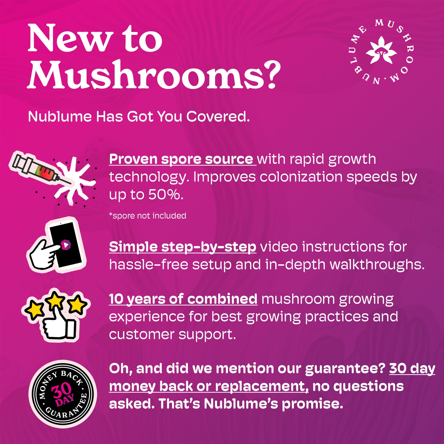 ShroomBloom all-natural mushroom grow kit with easy setup and eco-friendly packaging in vibrant colors