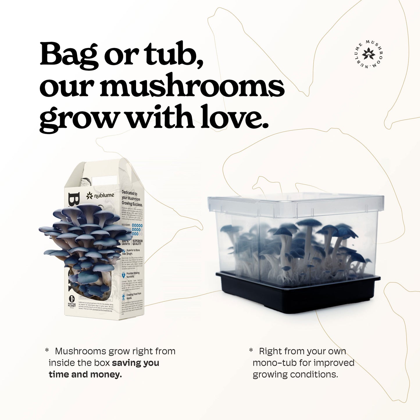 BloomBox Blue Oyster Mushroom Growing Kit by Nublume, featuring all-natural components for beginner mushroom cultivation