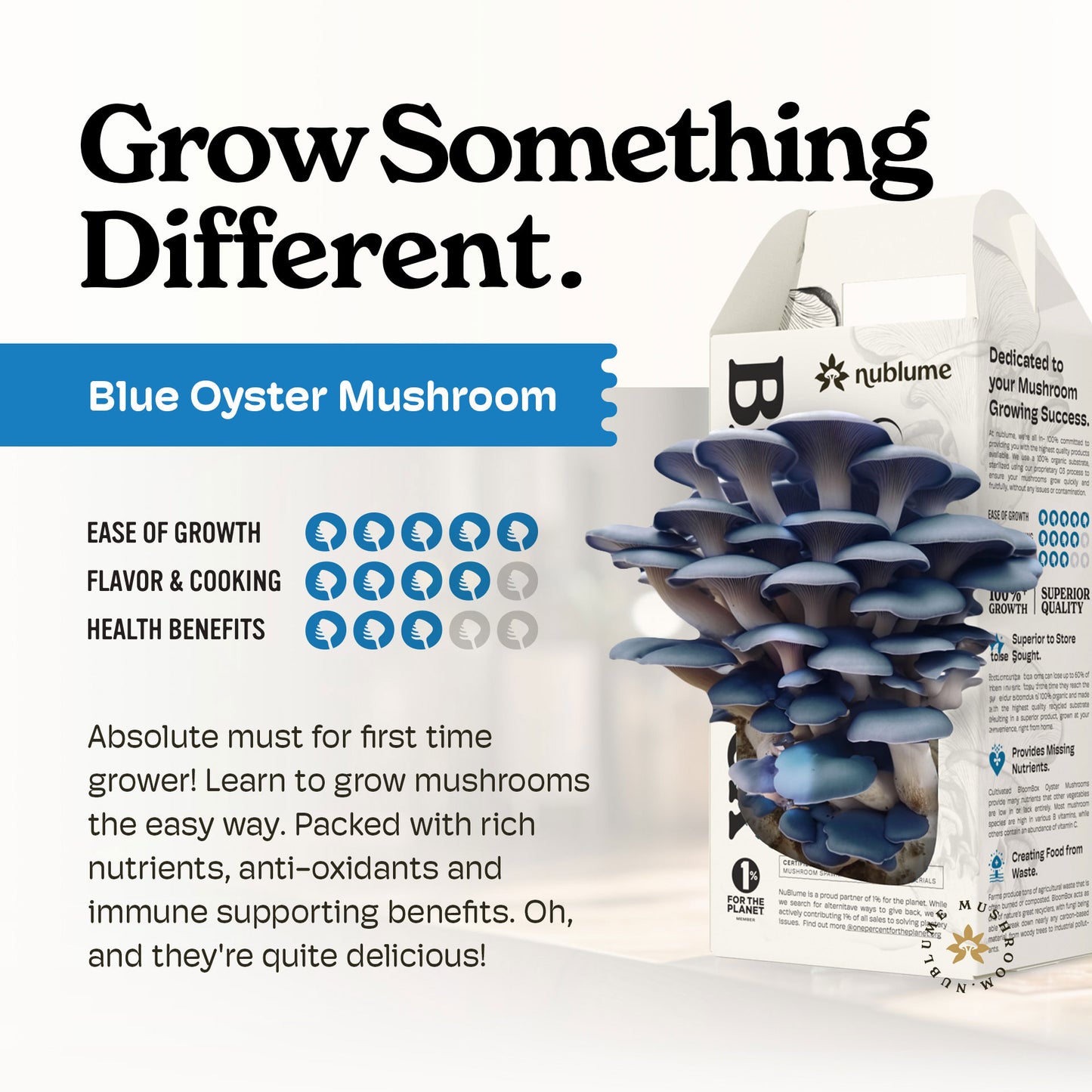 Blue Oyster Mushroom Grow Kit