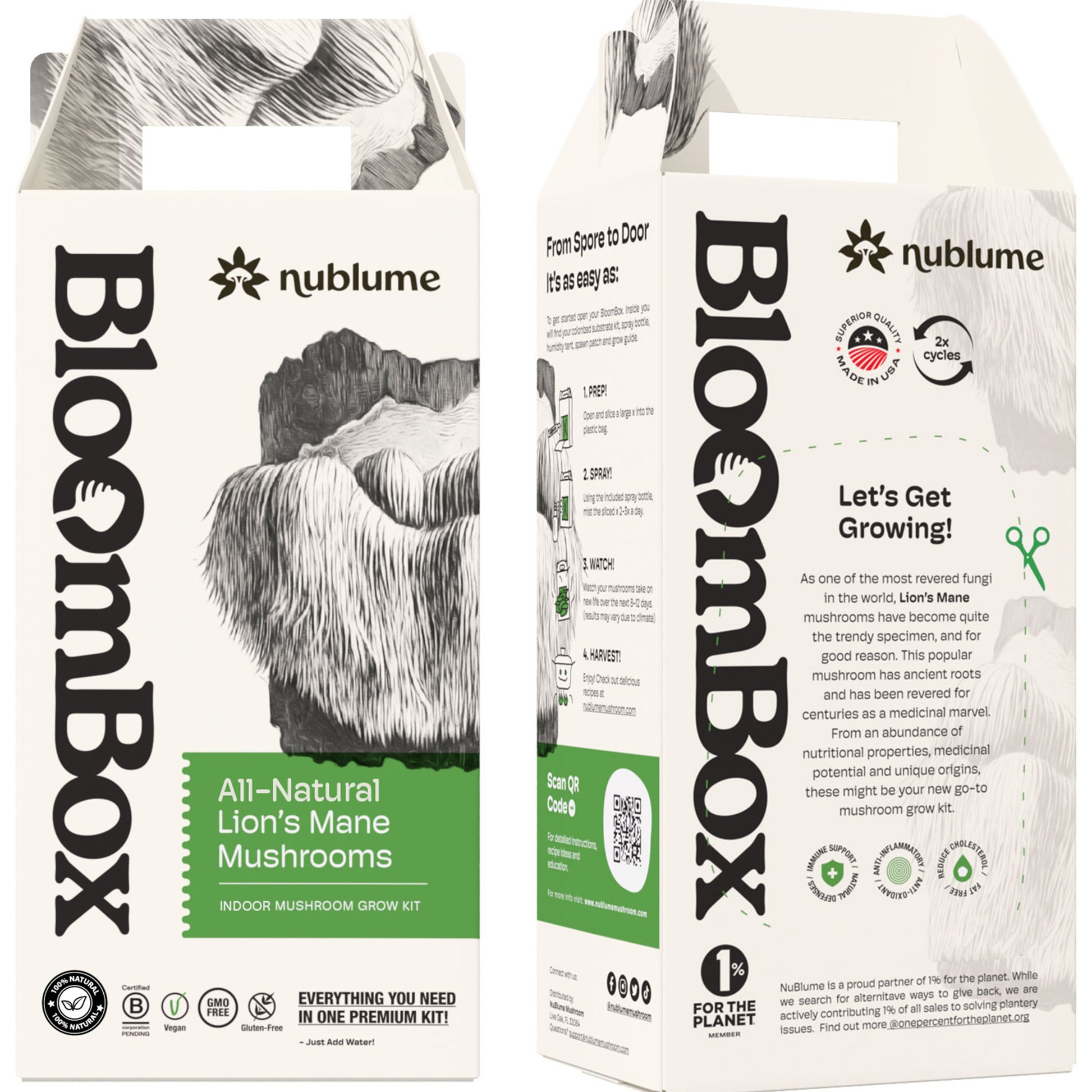 All-natural BloomBox Lion's Mane Mushroom Grow Kit with clear plastic container for easy indoor cultivation