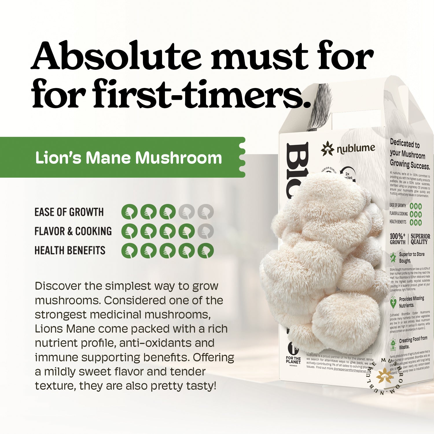 All-natural Lion's Mane mushroom grow kit from Nublume Mushroom, designed for indoor cultivation, featuring easy setup.