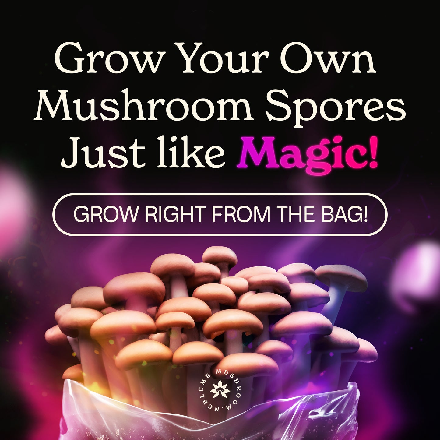 ShroomBloom Mushroom Grow Kit with vibrant pink and orange mushrooms emerging from a clear bag, by Nublume Mushroom.
