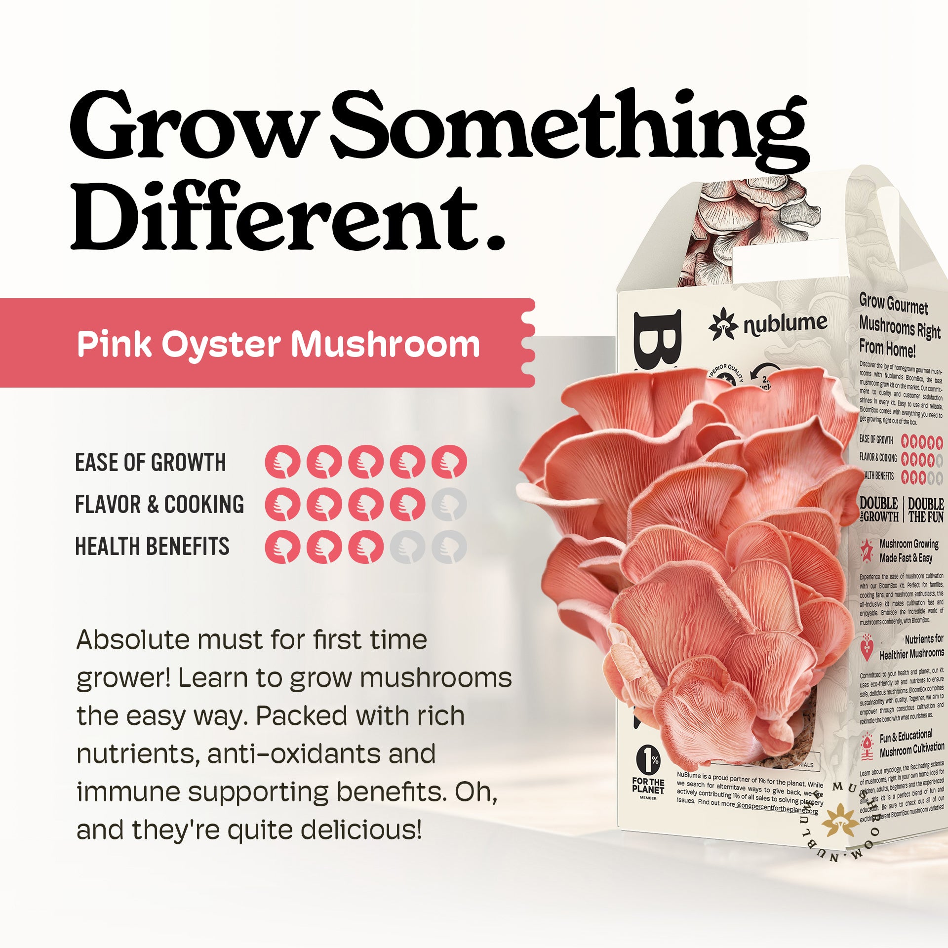 BloomBox Pink Oyster Mushroom Grow Kit by Nublume, featuring natural growing medium and clear instructions for indoor cultiv