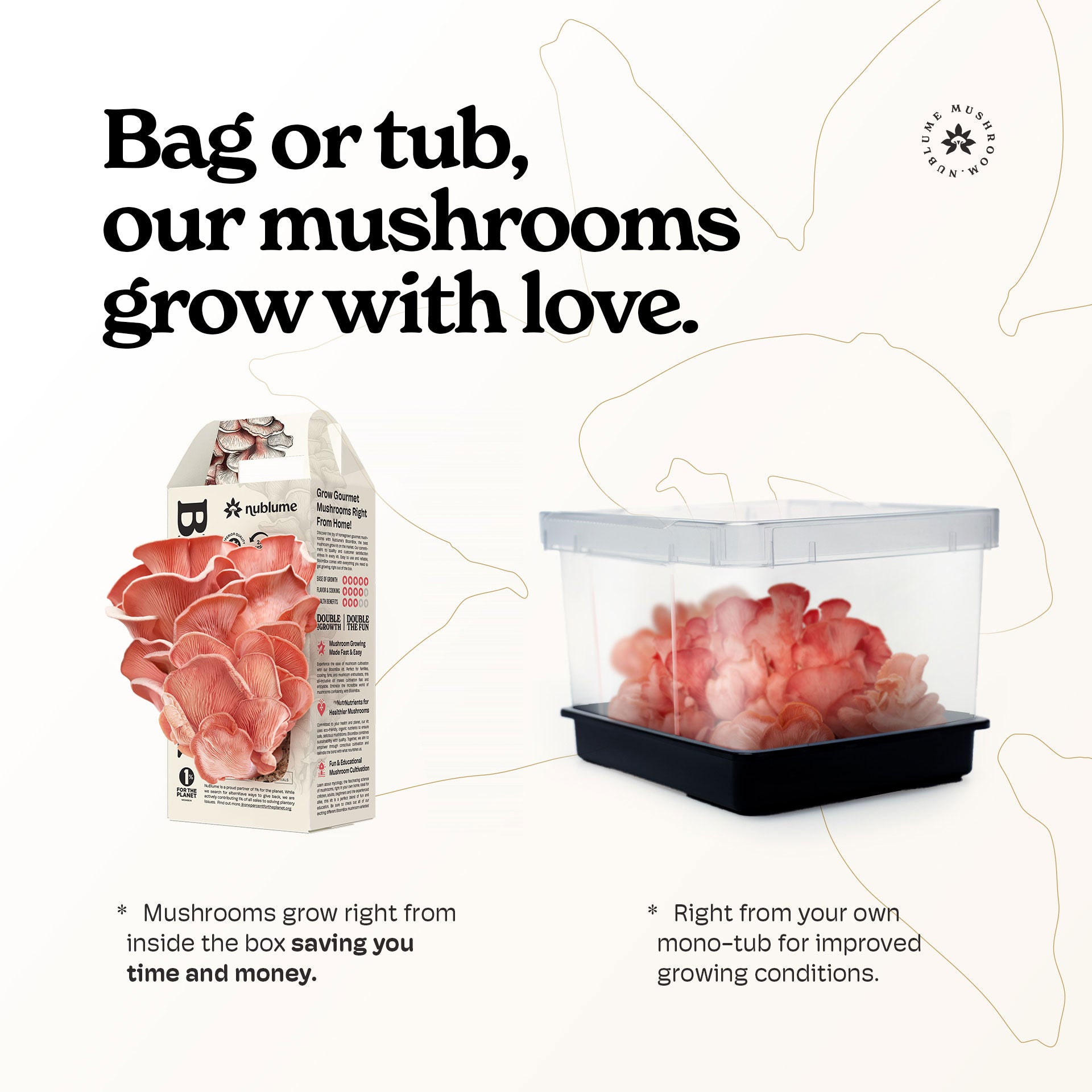 BloomBox Pink Oyster Mushroom Grow Kit by Nublume, featuring all-natural nutrients, ideal for indoor growing.