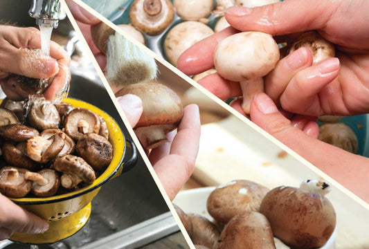 How to Clean Mushrooms Without Losing Any of Their Nutritious Benefits - Nublume