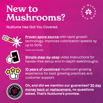 ShroomBloom Magic All-In-One Mushroom Grow Kit