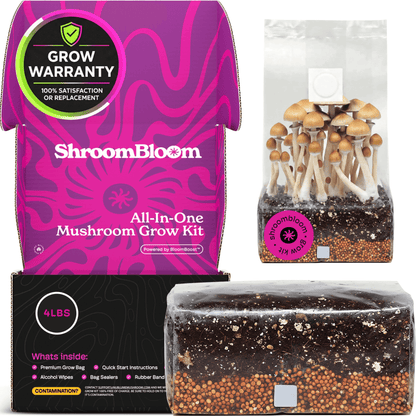 ShroomBloom Mushroom Growing Kit 4LB All-in-One Grow Bag with High-Yield Dung-Loving Substrate & Injection Port for Beginner Magic Mycology & Medicinal Species (USA Made)