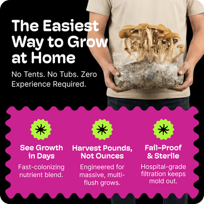 ShroomBloom Mushroom Growing Kit 4LB All-in-One Grow Bag with High-Yield Dung-Loving Substrate & Injection Port for Beginner Magic Mycology & Medicinal Species (USA Made)