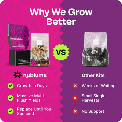 ShroomBloom Mushroom Growing Kit 4LB All-in-One Grow Bag with High-Yield Dung-Loving Substrate & Injection Port for Beginner Magic Mycology & Medicinal Species (USA Made)