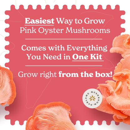 Pink Oyster Mushroom Grow Kit