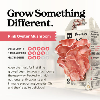 Pink Oyster Mushroom Grow Kit